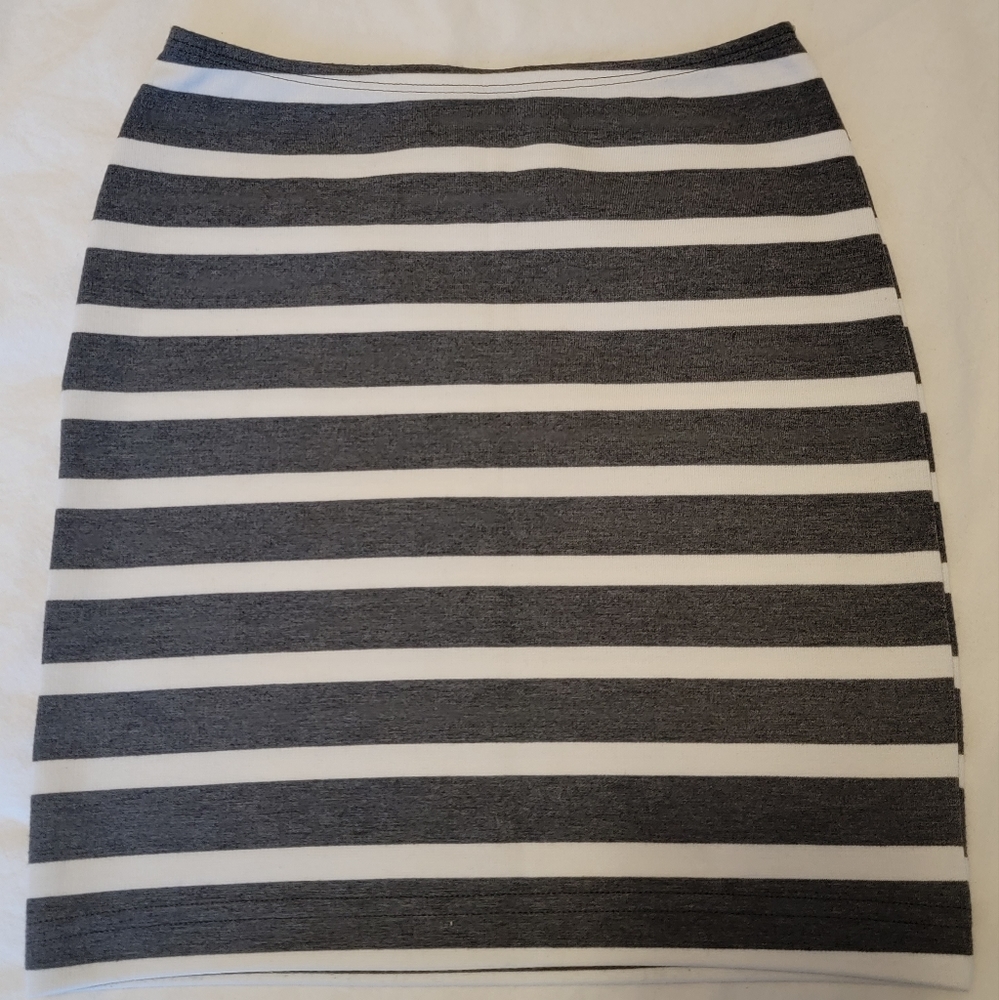 NWOT American Apparel Skirt - S